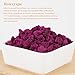Howxyspa Freeze-Dried Dragon Fruit, 100% Natural, No Added Sugar, 5 oz, Gluten Free Fruit Snacks