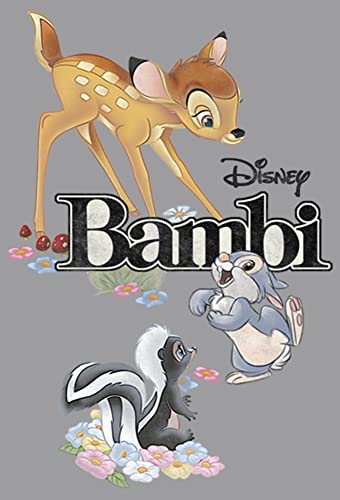 Sweat à capuche garçon Bambi Fifth Sun pull enfant Disney