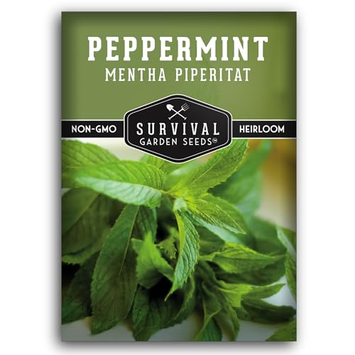 Survival Garden Seeds - Peppermint Seed for Planting - Mentha Piperita Packet with Instructions to Plant and Grow Delicious Mint in Your Home Herb or Vegetable Garden - Non-GMO Heirloom Variety
