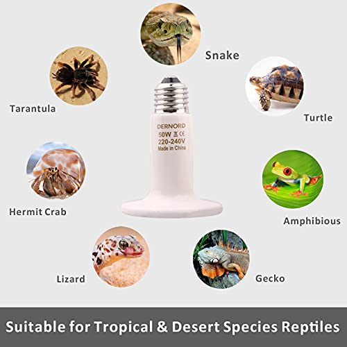 DERNORD Reptile Heat Lamp 50 Watt Tortoise Heat Lamp Ceramic Heat