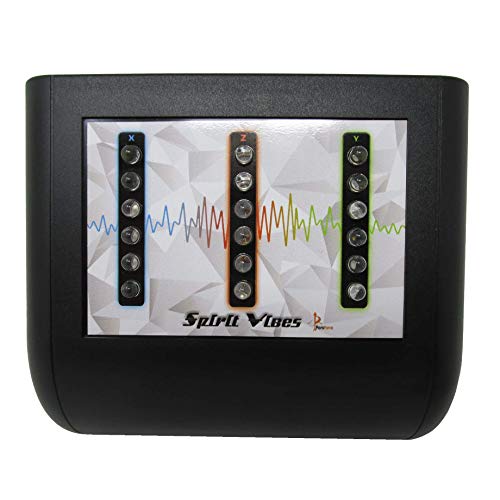 Capteur de vibration Para4ce Spirit Vibes pour enquête en lieu hanté