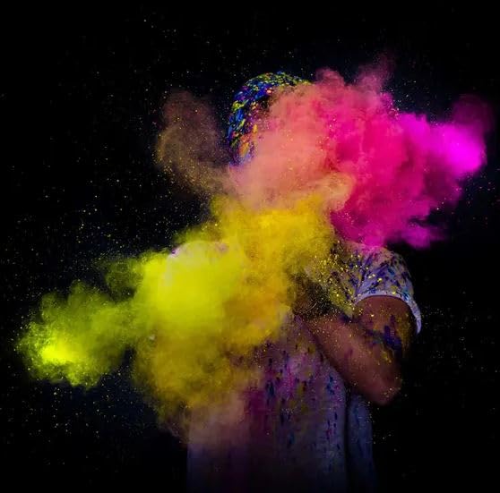 Holi Poudre pour festival, fête, mariage, séance photo, 10 couleurs, 50 sachets de 100 g chacun