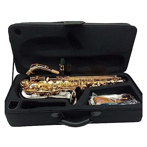 AgTbNX jbPbL{fB S[hL[ vtFbViAgTbNX P[Xt }EXs[X TbNX Zbg