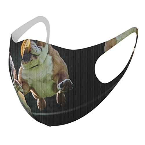 [igsticker] fUC }XN QZbg |GXe 􂦂 z}XN XLTCY 傫 jp 023041   ʐ^