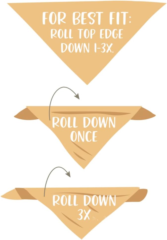 Big Sis Dog Bandana Big Sister Pregnancy Announcement Matching Baby Announcement Baby Shower Attire Gift (X-Large)