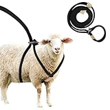 Goat Harness, Goat Supplies, Goat Harness for Walking, Washable Goat Leash, Goat Accessories, Livestock Supplies for Goats, Sheeps