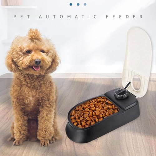 Mangeoire automatique pour chat et distributeur programmable - 4
