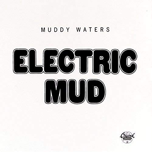 Electric Mud (2001)
