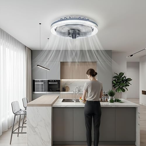 PEILU 60W Deckenventilatoren mit Beleuchtung 3000K-6500K Dimmbar Ø31cm LED Deckenleuchte Ventilator mit Fernbedienung 4 Windstufen Leise Deckenleuchte mit Ventilator für Wohnzimmer/Schlafzimmer