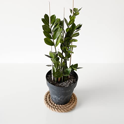 Creative Deco 20m Cuerda de Yute (Personalizable en Tramos de 5 m) | 20mm de Grosor | Trenzada | Color Marrón Natural | para Jardinería, Decoración de Interiores, Proyectos De Bricolaje Y Artesanía - imagen 5