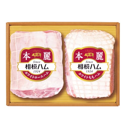 Ε Ε 2025 AΕ Mtg v[g ̓n {Mtg ̂ 