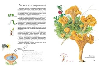 Paperback Sofi v mire gribov [Russian] Book