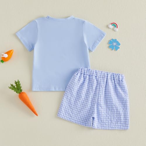 Image of Kavousa Toddler Boy Easter Outfit Baby Boy Bunny Short Sleeve T Shirt And Shorts Set 2 Piece Spring Summer Clothes
