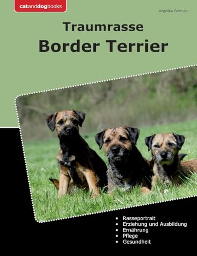 Traumrasse Border Terrier