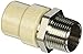 KBI 3/4 in. MPT x 3/4 in. Dia. Slip Transition Adapter
