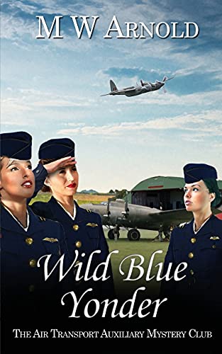 Wild Blue Yonder: 2 (Broken Wings) view 2