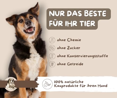 Warnick´s Tierfutterservice - Rinderstrossen/Luftröhre 2 x 1kg- Hundesnack - 12–15 cm Stücke – luftgetrocknet, geruchsarm & naturbelassen – Warnicks Kausnack zur Zahnpflege & Beschäftigung