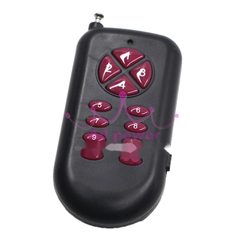 Puerta de garaje digital de 12 V con código fijo RF de 1 canal e interruptor de control