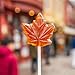 Yupik Maple Leaf Hard Candies With Pure Maple Syrup, 2.2 lb (35.2 oz), Individually Wrapped, Made in Canada, Authentic Flavor, Sweet Candy, Delicious Snack, Ideal for Gifting