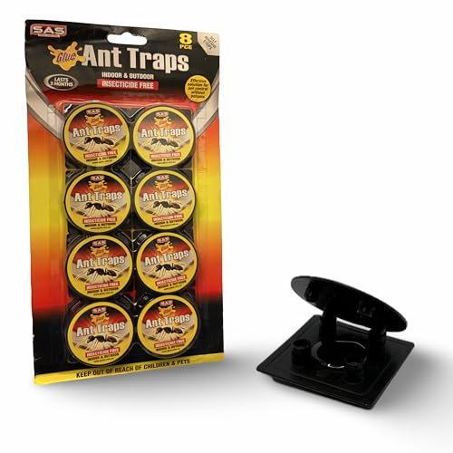 8X Ameisenköderdose - Ameisenköder - Ameisenfalle – Ungiftige Klebefalle zur Überwachung von Ameisen – Geruchslos, sicher für Kinder & Haustiere,...