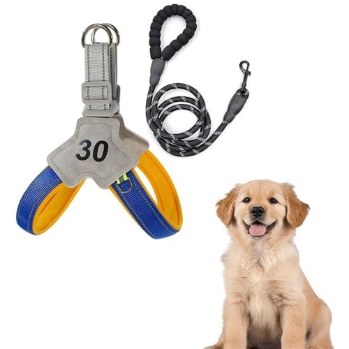 Yucahype  n[lX  Up y ȒP h~݌v [h Zbg \tg ₷ ˍޗ qA~obN y  ȒP U ^A^(L u[)