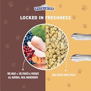 Nutri Bites Freeze Dried Canine Meals Meal Topper, Rooster Recipe 22 oz | Contemporary Wholesome Uncooked Excessive-Protein Pet Meals with Actual Meat | Nice Meal Toppers, Combine-Ins, or Coaching Treats