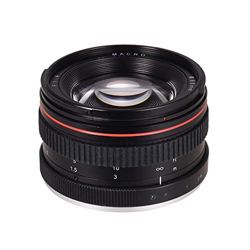Lente 50 mm f/1.4 USM para Nikon D7000 y más Lente estándar 50 mm f/1.4 USM de gran apertura ideal para cámaras Nikon D7000, D7100, D200, D300, D700, D750, D810, D800, D3200, D3300, D5200, D40 y D90. Perfecta para retratos y situaciones de baja luz. - Fernando Cortés