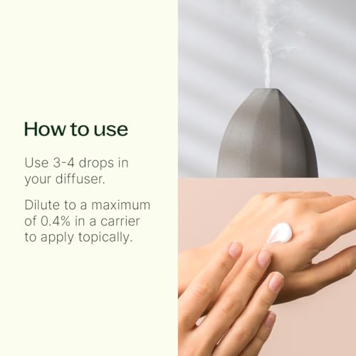 Aceite Esencial Balsam 10 mL Puro Plant Therapy miniatura 2