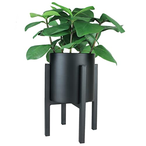 Little Dutch Holzdreirad Olive | FSC Holz Laufrad Für Kinder Ab 12 Monaten - Motorik-Fördernd