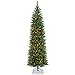 National Tree 6.5 Foot Kingswood Fir Pencil Tree with 250 Multicolor Lights, Hinged (KW7-313-65)
