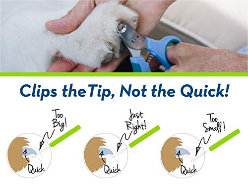 Zen Clipper Pet Nail Clipper For Dogs – Dog Nail Clipper For Safer Dog Grooming And Nail Care - Clean, Quiet, And Easy-To-Use Stainless Steel Dog Nail Trimmer - (4Mm Hole) #TOP2