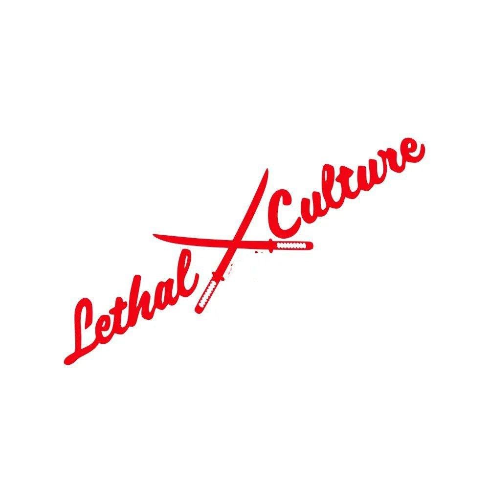 Windshield Sticker Auto Window Side Body Decoration Vinyl Decor Decal(Glossy Red,50x11cm)