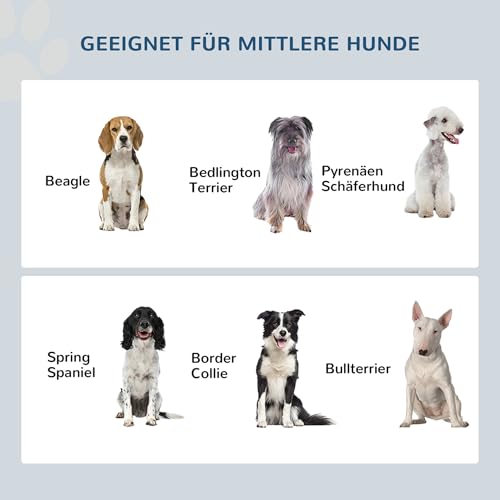 PawHut Erhöhter Hundenapf Futternapf mit 2 Näpfe Wassernapf 2 x 2000ml Edelstahlnäpfen Fressnapf Futterstation Hundenäpfe für Mittlere Hunde Katzen Weiß