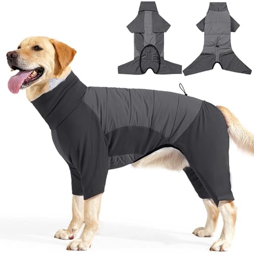 Giacca Invernale Impermeabile e Antivento per Cani, Cane Invernale Design