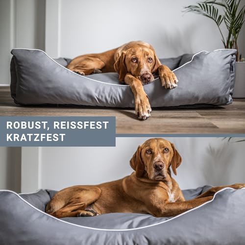 Tante Hilde Hundebett Norderney XXL (100x80x25) Grau – Waschbar, Robust und Gemütliches Hundebett & Hundekorb in Verschiedenen Größen – Ideal für mittelgroße Hunde z.B. Australian Shepherd, Collie