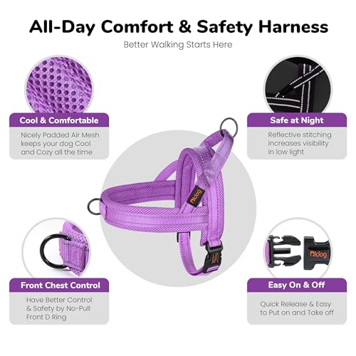 Image of No Pull Dog Harness for Small Dogs, Breathable Mesh Padded, Purple,XS | Quick Fit, Easy On and Off, Lightweight, Reflective Vest Harness for Night Safty, Easy for Walking and Training, Chest 15-18 inch
