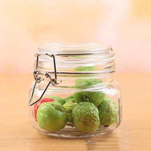 MIZINGO 500 ML Mason Glass Jars with Buckle Lids Airtight Kitchen