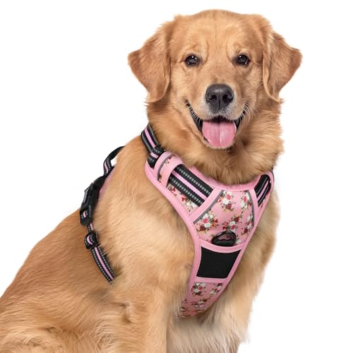 Image of rabbitgoo Dog Harness No Pull with 2 Leash Clips, Adjustable Soft Padded, Reflective Oxford No Choke Pet Vest with Easy Control Handle for Large Dogs, Pink Rose, XL