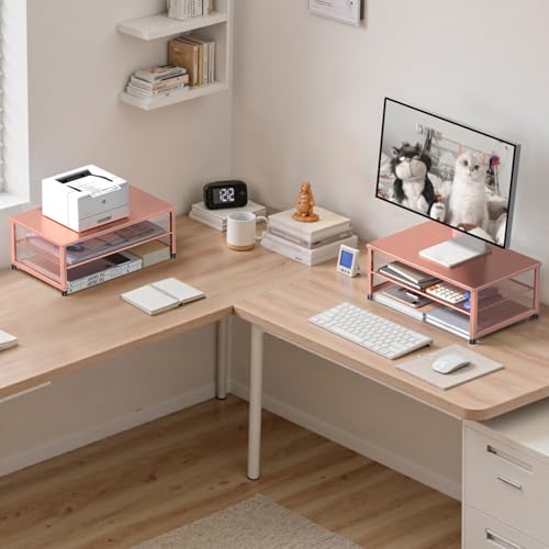 Image of ECOLOVI 2-Tier Computer Monitor Stand Riser, Printer & Laptop Stand, Office Desk Accessories, Workspace Desk Organizer for Home Office Supplies, Rose