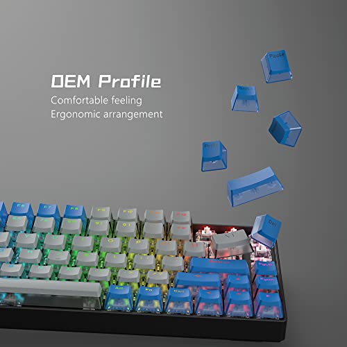 Image of Womier PBT Pudding Keycaps- Shine Through Keycaps | 164 Keys Keycap Set 60 65 75 100 Percent, OEM Profile for Custom Cherry Gateron MX Switches Mechanical Keyboard, Blue