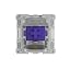 Pro Purple