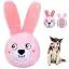 Pink Bunny
