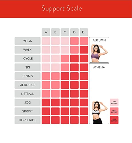 Image of Women's Cotton Blend Non-Wired Sports Bra
