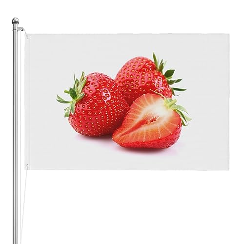 Bannière de bienvenue maison et jardin : grand drapeau fraise pour pelouse et cour