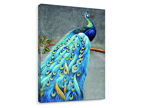 Niwo ART - Peacock A, Bird Series Canvas Wall Art