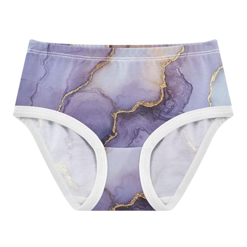 Underwear Underwear for Daily Wear Comfort Color for Toddler in Sizes 2T,3T, 4T, 5T, 6Y and 8Y