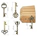 AYAOQIANG Wedding Favors Skeleton Key Bottle Opener with Escort Card Tag and Key Chains for Guests Party Favors Rustic Decoration (Bronze 75pcs)…