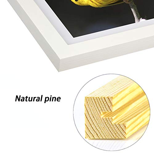 Wkdp 12X16Inch Frame For Diamond Painting Picture 30X40Cm Diamond Art Frames, Display Pictures 10X14Inch With Mat Or 12X16Inch Cavas Without Mat, Wall Hanging Decoration Poster Frame Photo Frame Cross Stitch Frame Solid Wood Frame White (Fk0022) #TOP2