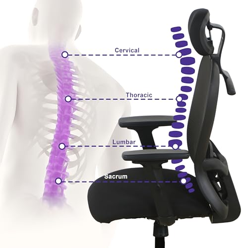 Image of Wakefit Safari Ergonomic Office Chair for Work | 3 Year Warranty | Multi-Lock Seat Slider and Recline | Soft Armrest with 3D Adjustability | Strong Nylon Base | 8+ Hours of Comfort | Black