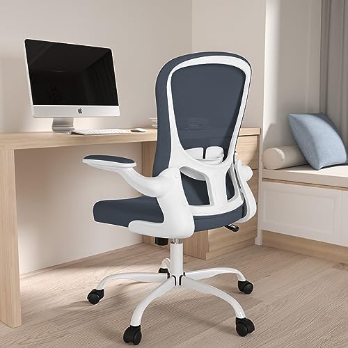 AONELAS Ergonomic Office Chair, Breathable Mesh Computer Chair for Home